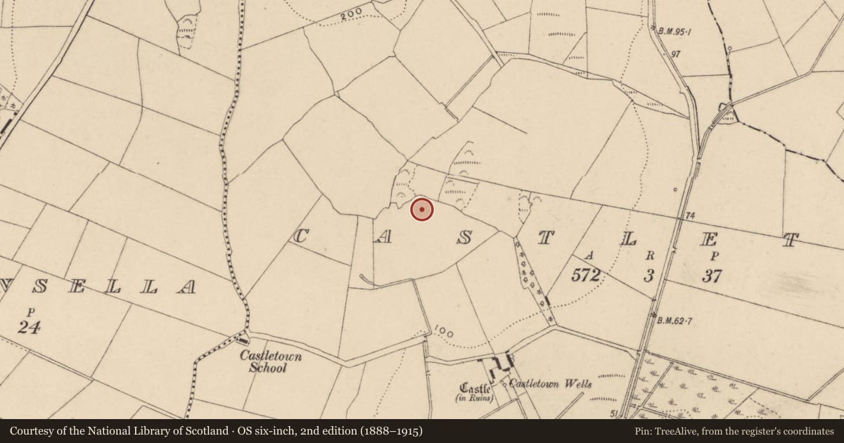 Ordnance Survey six-inch map, 2nd edition (1888–1915) covering the location of Enclosure, Castletown, County Waterford, with a pin at the register's coordinates