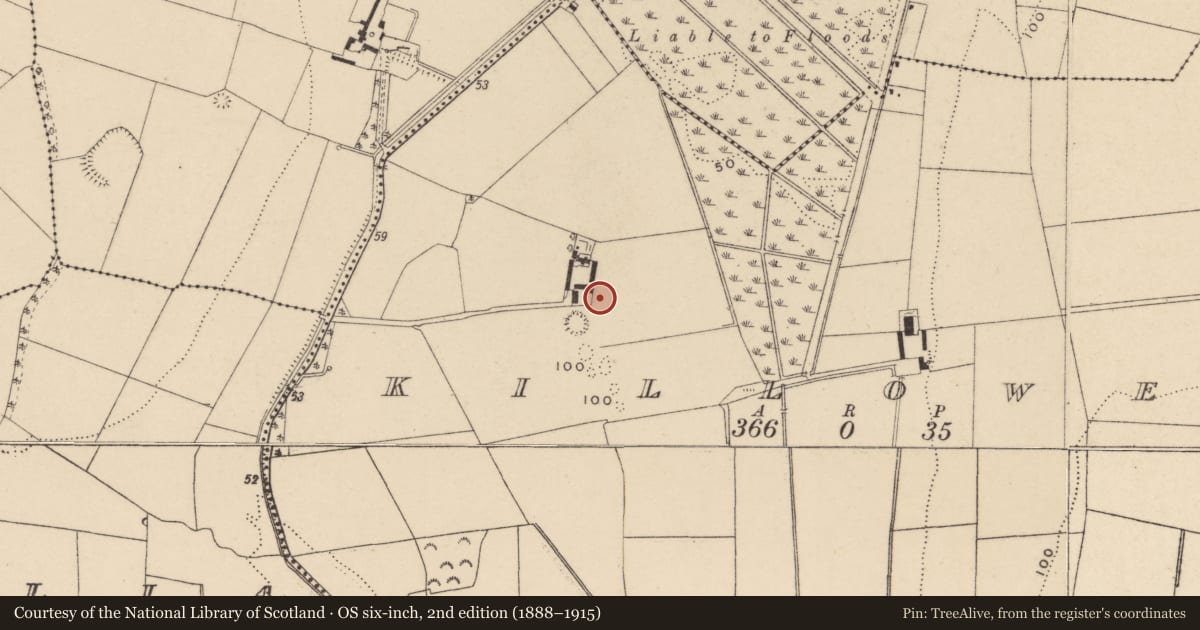 Ordnance Survey six-inch map, 2nd edition (1888–1915) covering the location of Graveyard, Killowen, County Waterford, with a pin at the register's coordinates