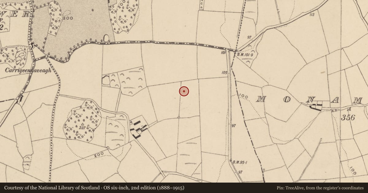 Ordnance Survey six-inch map, 2nd edition (1888–1915) covering the location of Standing stone, Castletown, County Waterford, with a pin at the register's coordinates