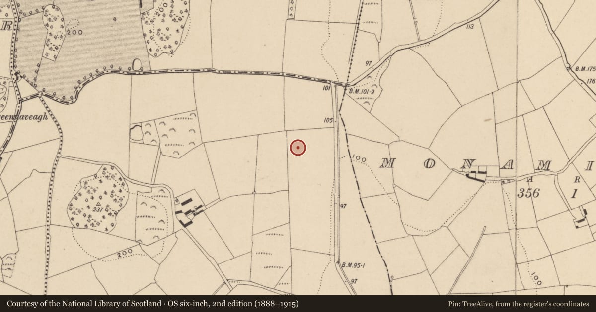 Ordnance Survey six-inch map, 2nd edition (1888–1915) covering the location of Standing stone, Castletown, County Waterford, with a pin at the register's coordinates