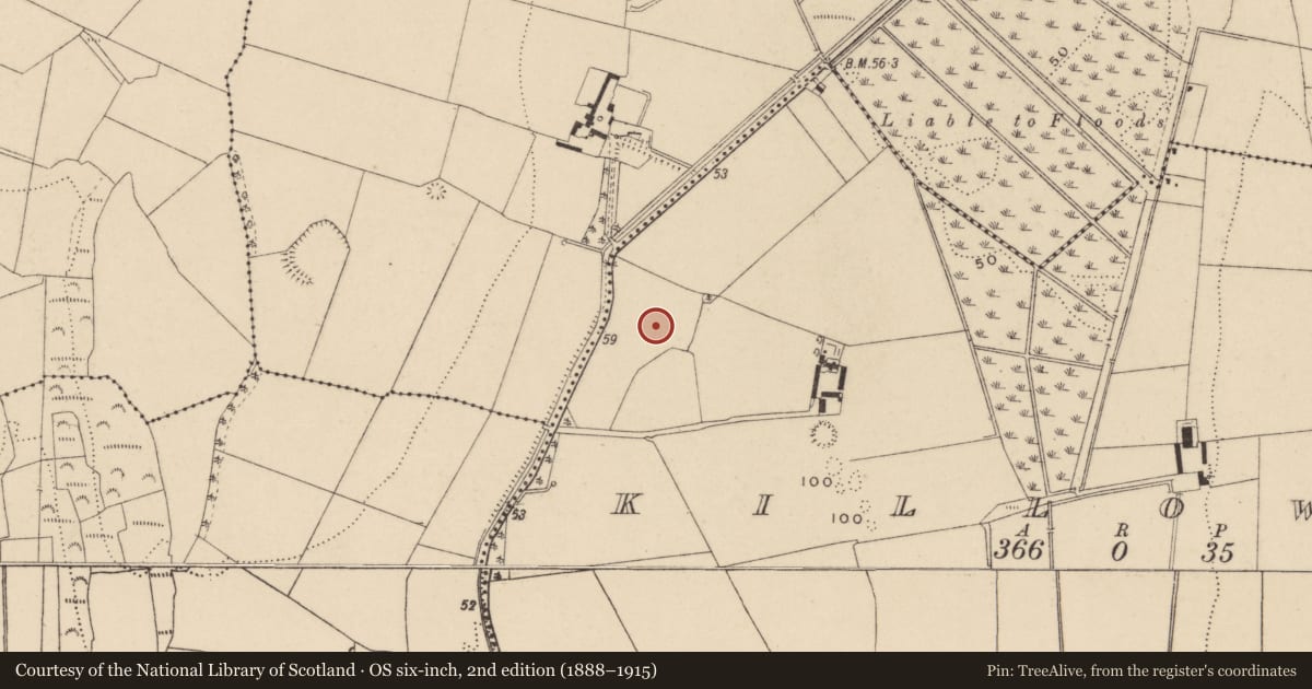 Ordnance Survey six-inch map, 2nd edition (1888–1915) covering the location of Fulacht fia, Killowen, County Waterford, with a pin at the register's coordinates