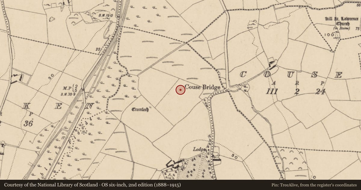 Ordnance Survey six-inch map, 2nd edition (1888–1915) covering the location of Standing stone, Ballindud, County Waterford, with a pin at the register's coordinates