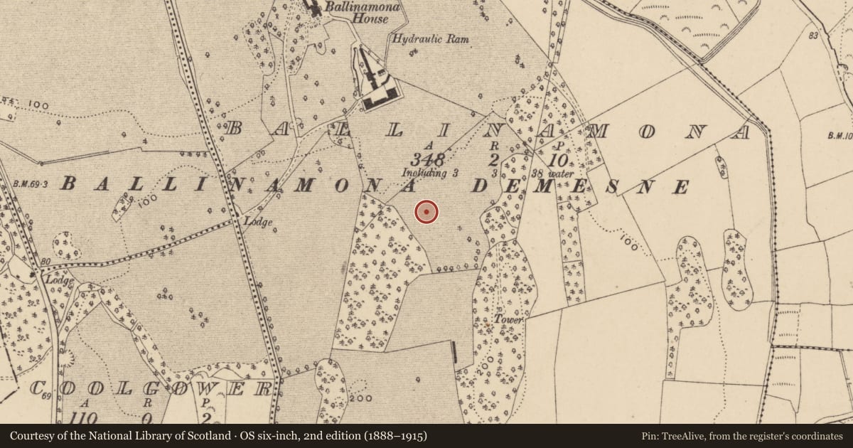 Ordnance Survey six-inch map, 2nd edition (1888–1915) covering the location of Deer park, Ballinamona, County Waterford, with a pin at the register's coordinates