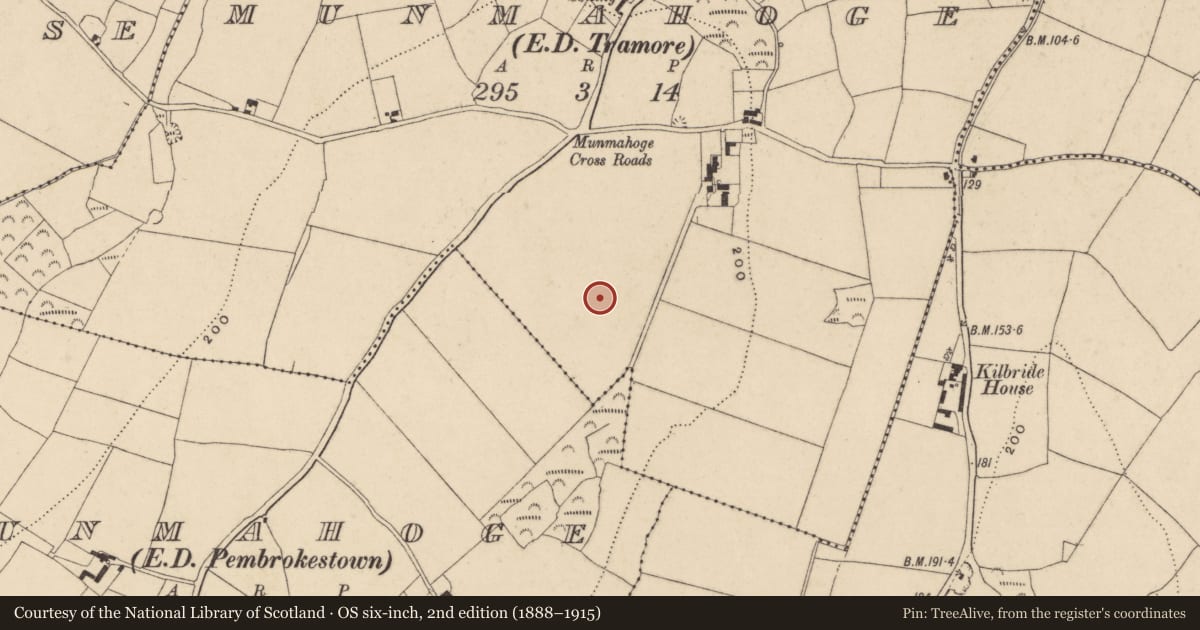 Ordnance Survey six-inch map, 2nd edition (1888–1915) covering the location of Enclosure, Munmahoge (Middlethird By., Kilbride Par.), County Waterford, with a pin at the register's coordinates