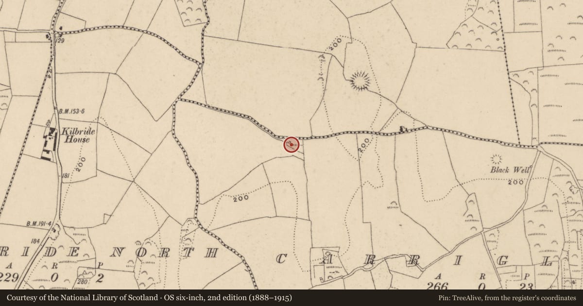 Ordnance Survey six-inch map, 2nd edition (1888–1915) covering the location of Burnt mound, Carriglong, County Waterford, with a pin at the register's coordinates