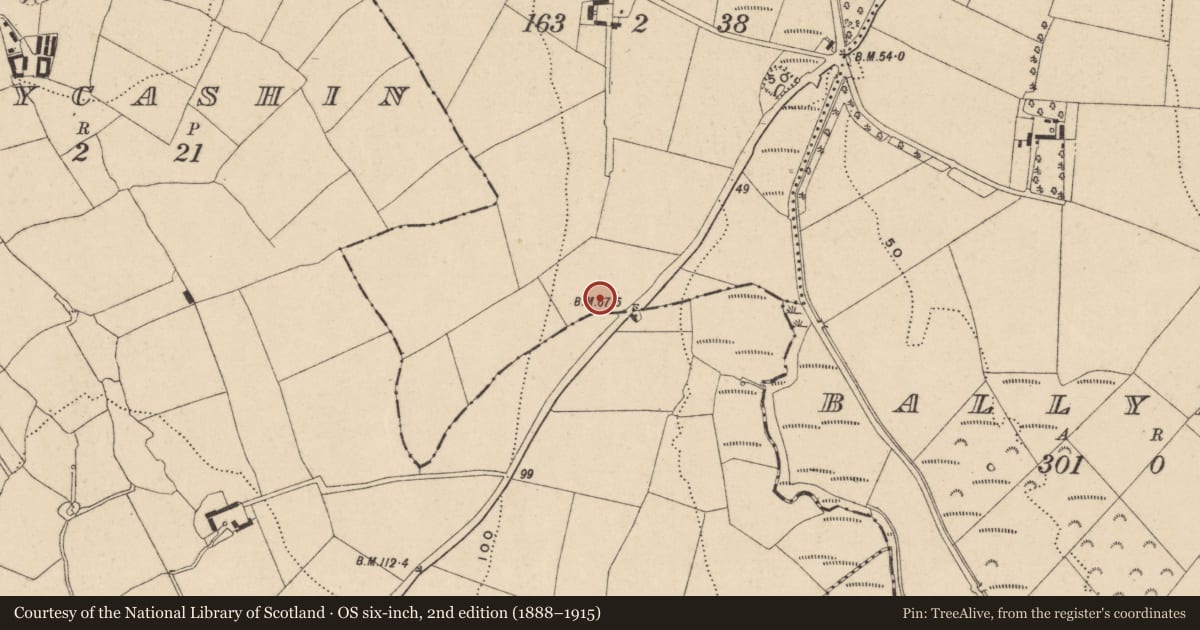 Ordnance Survey six-inch map, 2nd edition (1888–1915) covering the location of Cist, Carriganard, County Waterford, with a pin at the register's coordinates