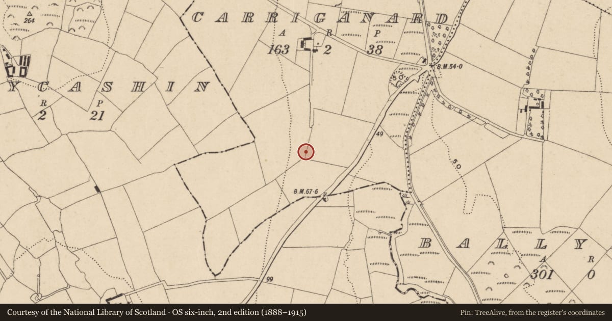 Ordnance Survey six-inch map, 2nd edition (1888–1915) covering the location of Enclosure, Carriganard, County Waterford, with a pin at the register's coordinates