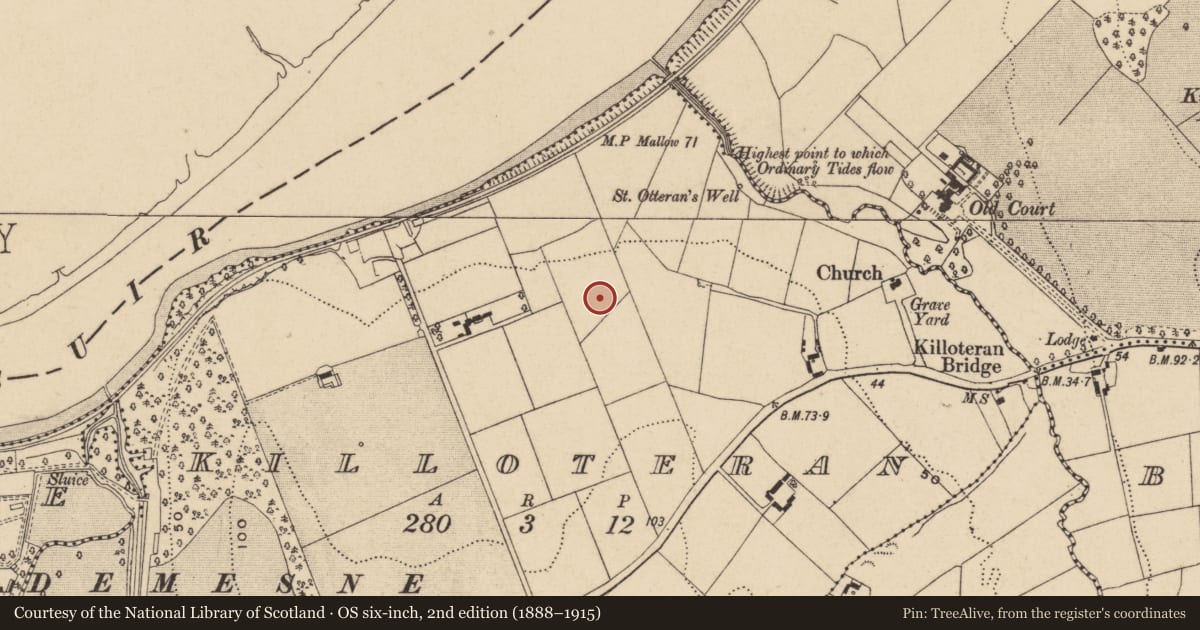 Ordnance Survey six-inch map, 2nd edition (1888–1915) covering the location of Burnt mound, Killoteran, County Waterford, with a pin at the register's coordinates