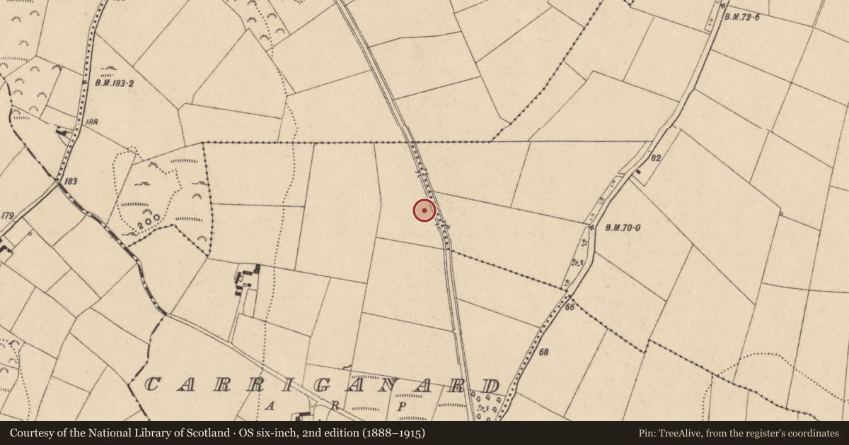 Ordnance Survey six-inch map, 2nd edition (1888–1915) covering the location of Fulacht fia, Carriganard, County Waterford, with a pin at the register's coordinates