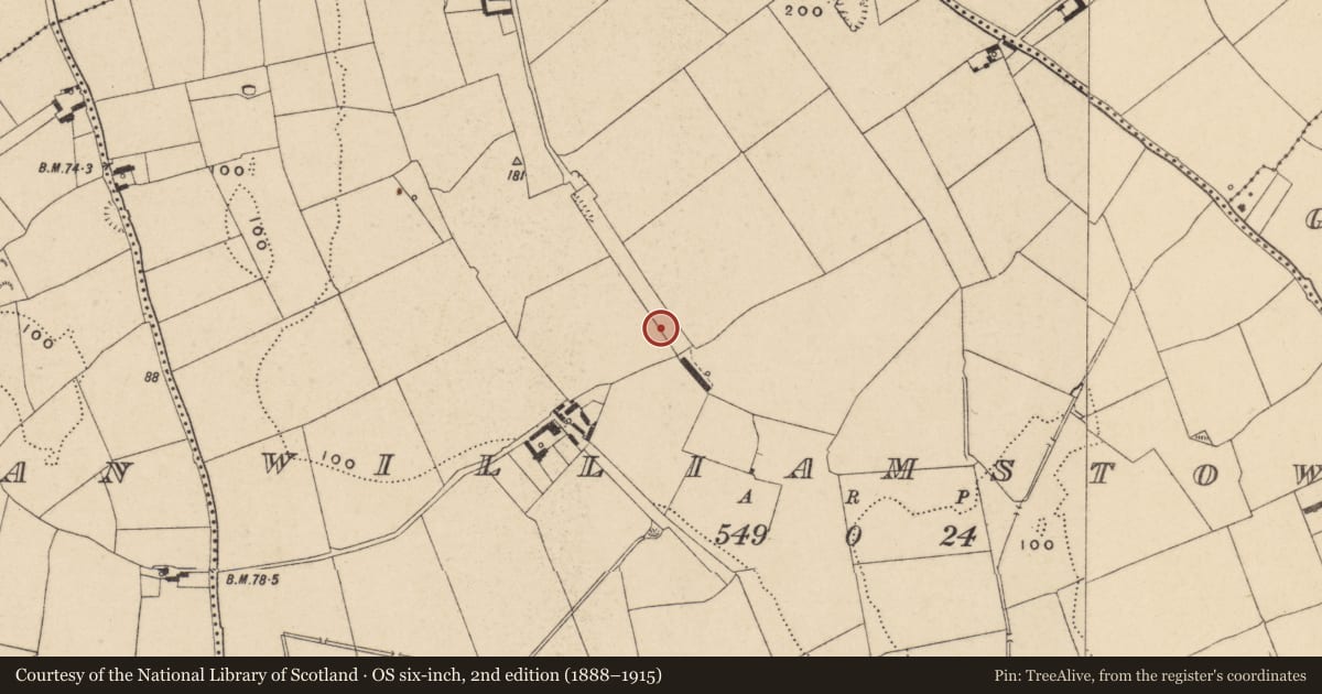 Ordnance Survey six-inch map, 2nd edition (1888–1915) covering the location of Ringfort - rath, Williamstown, County Waterford, with a pin at the register's coordinates