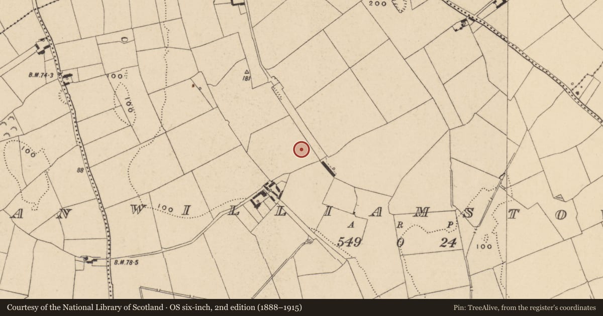 Ordnance Survey six-inch map, 2nd edition (1888–1915) covering the location of Excavation - miscellaneous, Williamstown, County Waterford, with a pin at the register's coordinates