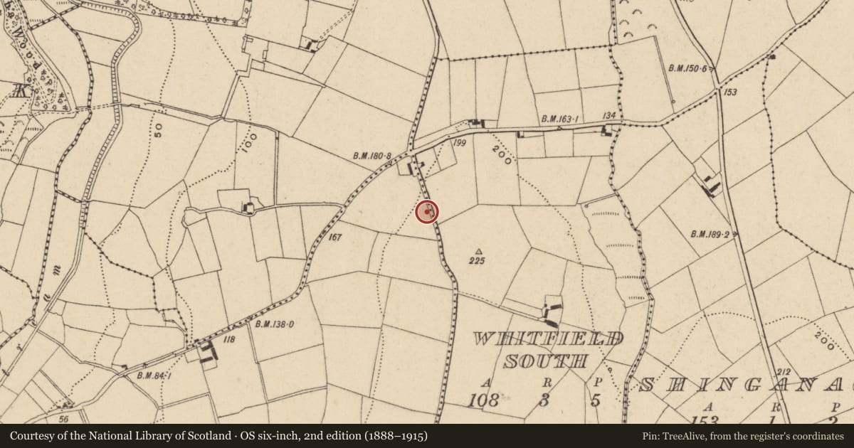 Ordnance Survey six-inch map, 2nd edition (1888–1915) covering the location of Cist, Lisnakill, County Waterford, with a pin at the register's coordinates