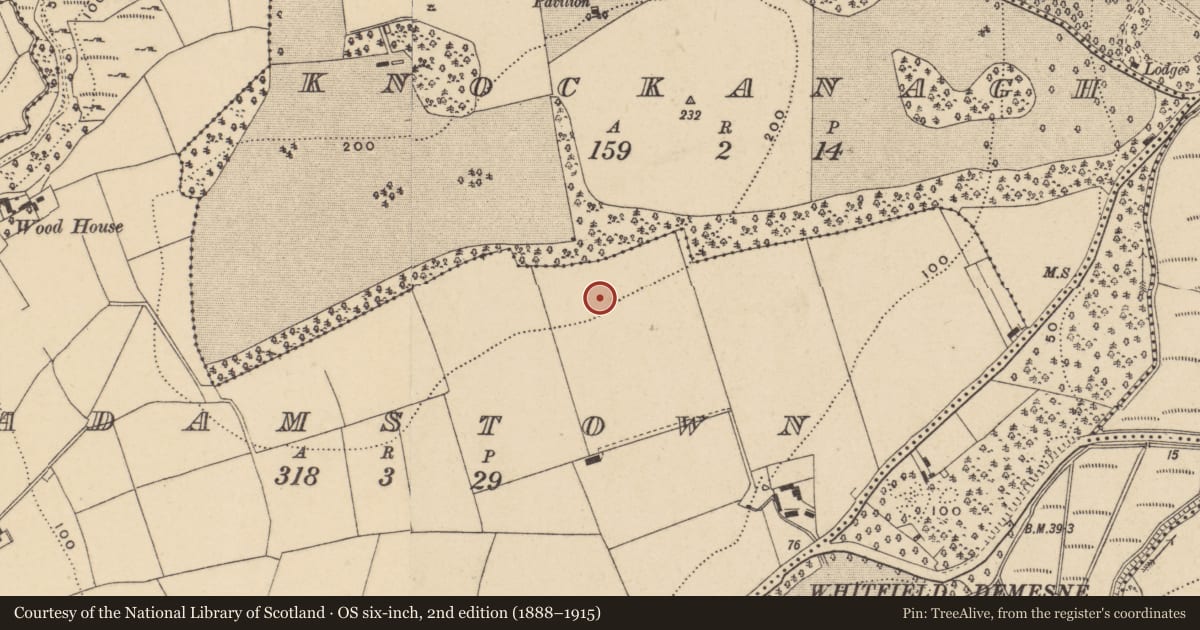 Ordnance Survey six-inch map, 2nd edition (1888–1915) covering the location of Hut site, Adamstown (Middlethird By., Kilmeadan Par.), County Waterford, with a pin at the register's coordinates