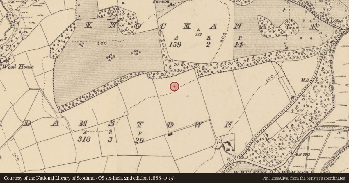 Ordnance Survey six-inch map, 2nd edition (1888–1915) covering the location of Hut site, Adamstown (Middlethird By., Kilmeadan Par.), County Waterford, with a pin at the register's coordinates