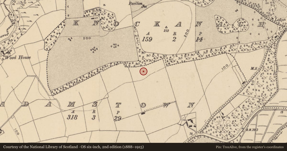 Ordnance Survey six-inch map, 2nd edition (1888–1915) covering the location of Hut site, Adamstown (Middlethird By., Kilmeadan Par.), County Waterford, with a pin at the register's coordinates