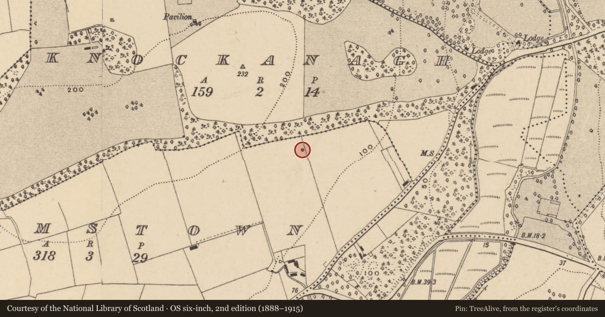 Ordnance Survey six-inch map, 2nd edition (1888–1915) covering the location of Kiln, Adamstown (Middlethird By., Kilmeadan Par.), County Waterford, with a pin at the register's coordinates