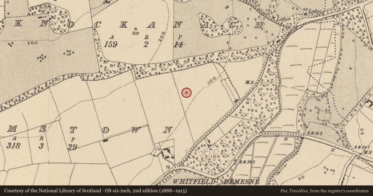 Ordnance Survey six-inch map, 2nd edition (1888–1915) covering the location of Enclosure, Adamstown (Middlethird By., Kilmeadan Par.), County Waterford, with a pin at the register's coordinates