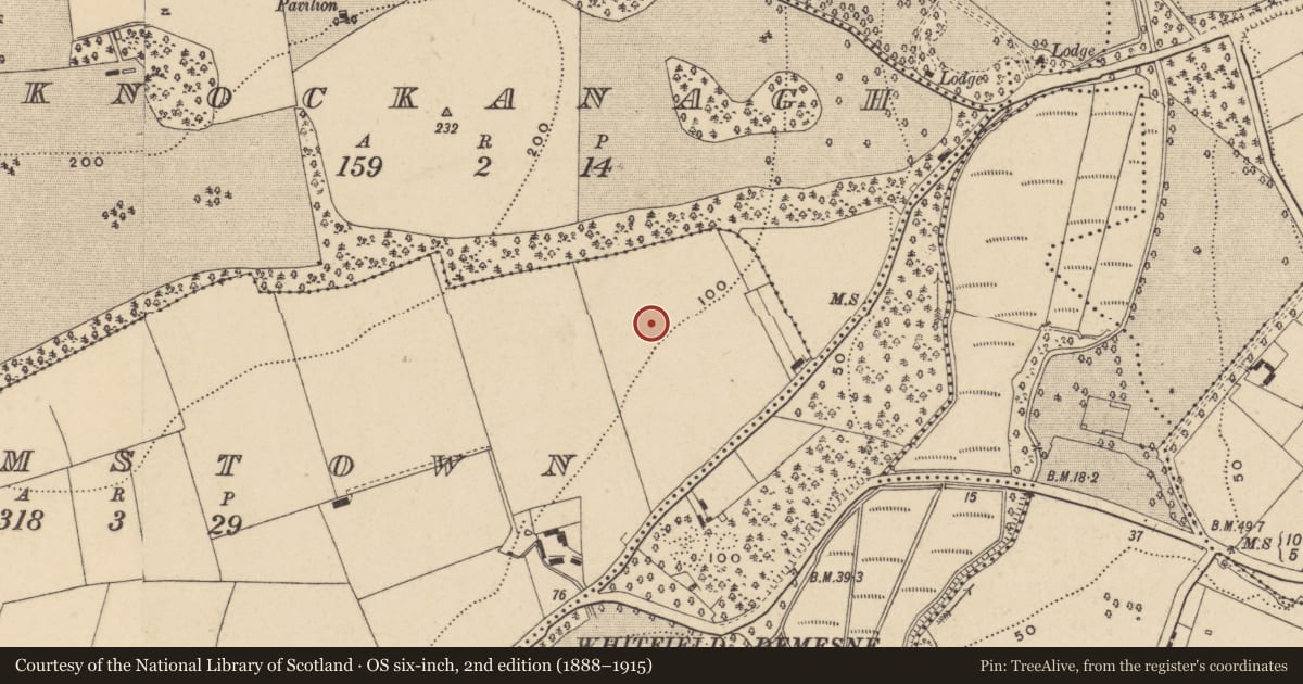 Ordnance Survey six-inch map, 2nd edition (1888–1915) covering the location of Furnace, Adamstown (Middlethird By., Kilmeadan Par.), County Waterford, with a pin at the register's coordinates