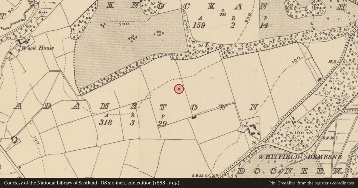 Ordnance Survey six-inch map, 2nd edition (1888–1915) covering the location of Excavation - miscellaneous, Adamstown (Middlethird By., Kilmeadan Par.), County Waterford, with a pin at the register's coordinates