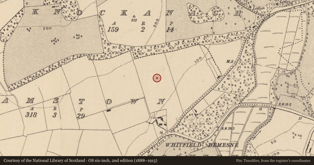 Ordnance Survey six-inch map, 2nd edition (1888–1915) covering the location of Kiln, Adamstown (Middlethird By., Kilmeadan Par.), County Waterford, with a pin at the register's coordinates