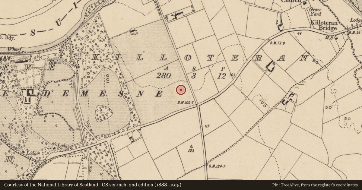 Ordnance Survey six-inch map, 2nd edition (1888–1915) covering the location of Excavation - miscellaneous, Killoteran, County Waterford, with a pin at the register's coordinates