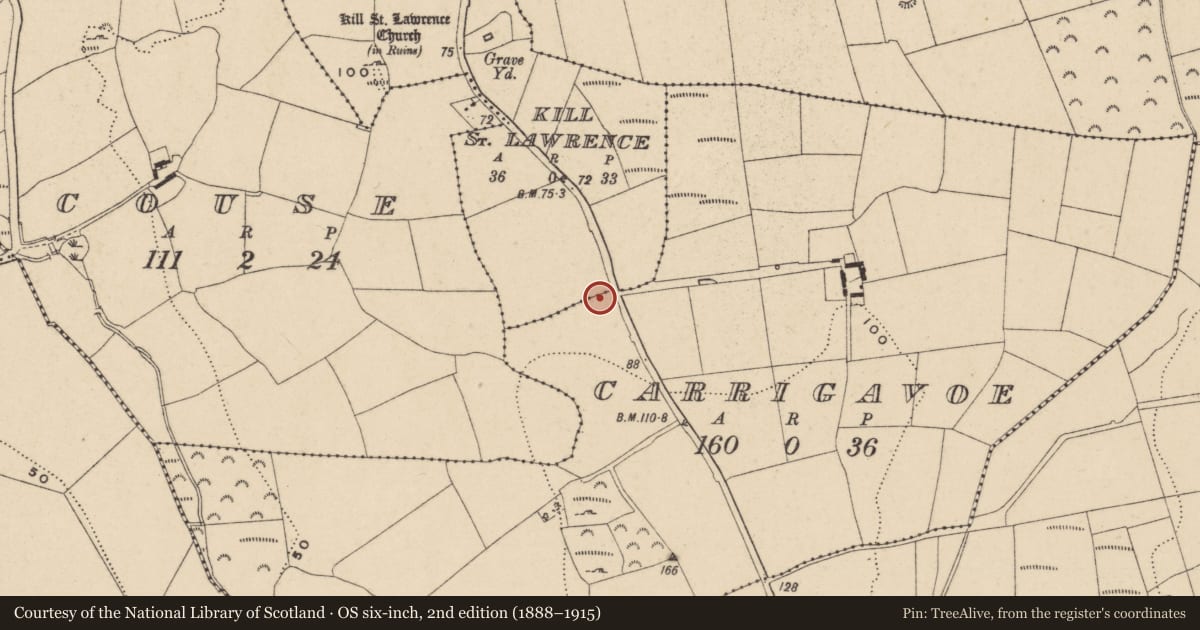 Ordnance Survey six-inch map, 2nd edition (1888–1915) covering the location of Kiln, Carrigavoe, County Waterford, with a pin at the register's coordinates