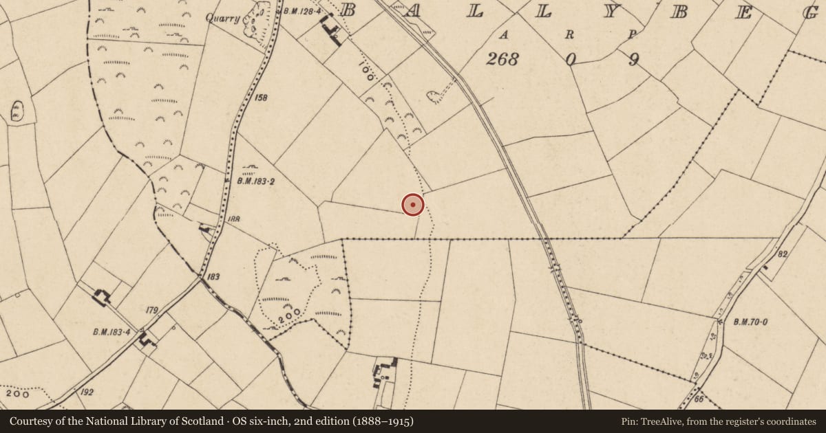 Ordnance Survey six-inch map, 2nd edition (1888–1915) covering the location of Excavation - miscellaneous, Ballybeg, County Waterford, with a pin at the register's coordinates