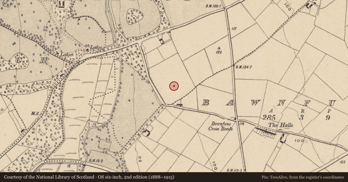 Ordnance Survey six-inch map, 2nd edition (1888–1915) covering the location of Excavation - miscellaneous, Killoteran, County Waterford, with a pin at the register's coordinates