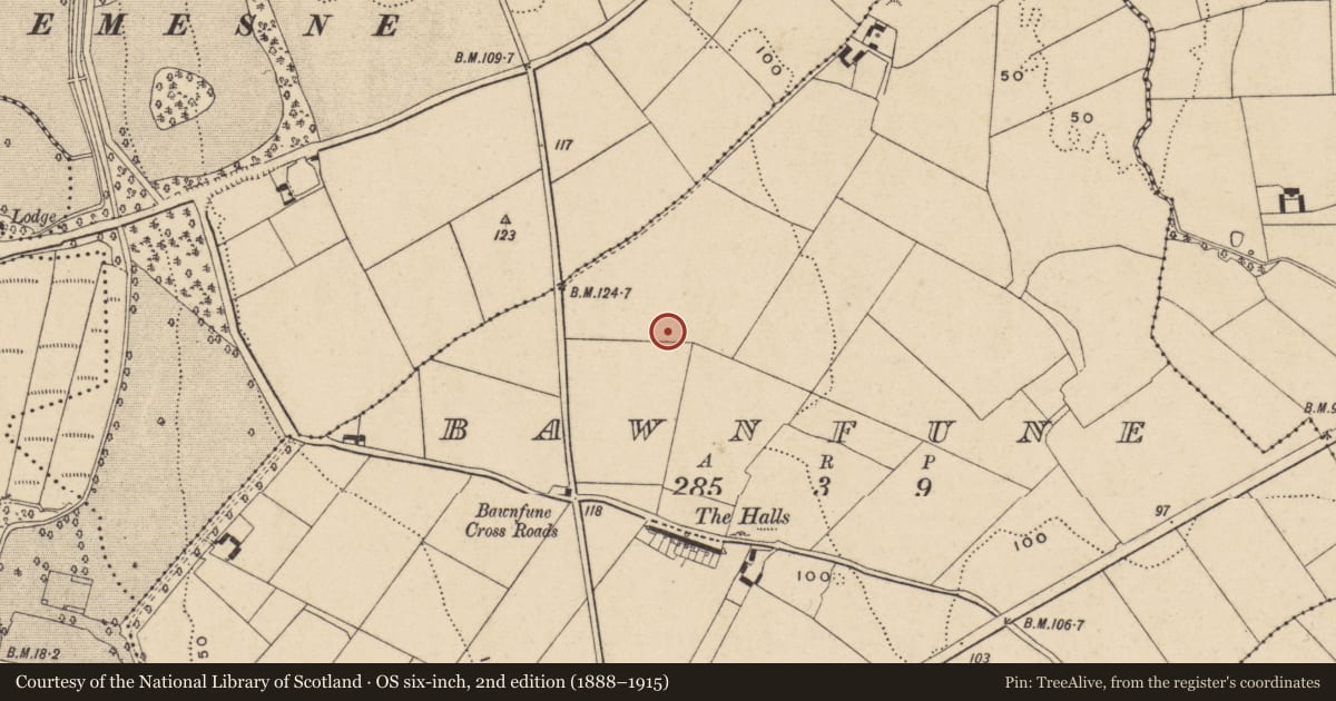 Ordnance Survey six-inch map, 2nd edition (1888–1915) covering the location of Hut site, Bawnfune (Gaultiere By., Lisnakill Par.), County Waterford, with a pin at the register's coordinates