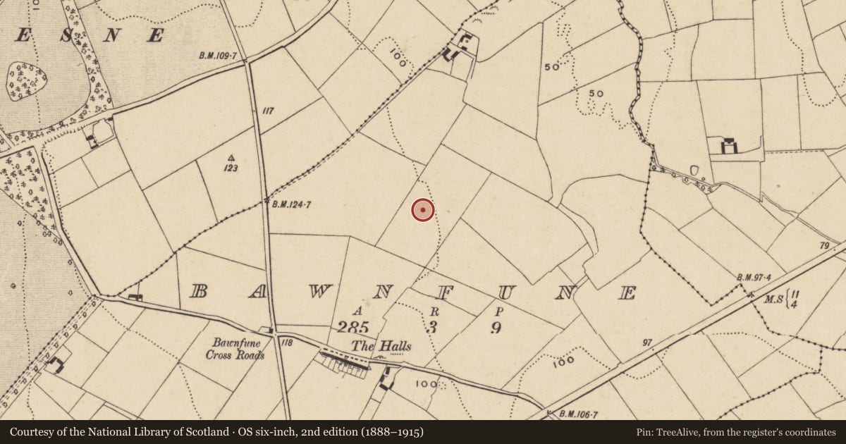 Ordnance Survey six-inch map, 2nd edition (1888–1915) covering the location of Excavation - miscellaneous, Bawnfune (Gaultiere By., Lisnakill Par.), County Waterford, with a pin at the register's coordinates