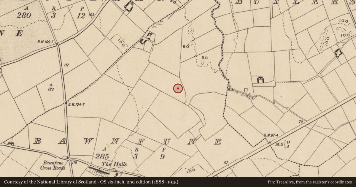 Ordnance Survey six-inch map, 2nd edition (1888–1915) covering the location of Fulacht fia, Bawnfune (Gaultiere By., Lisnakill Par.), County Waterford, with a pin at the register's coordinates