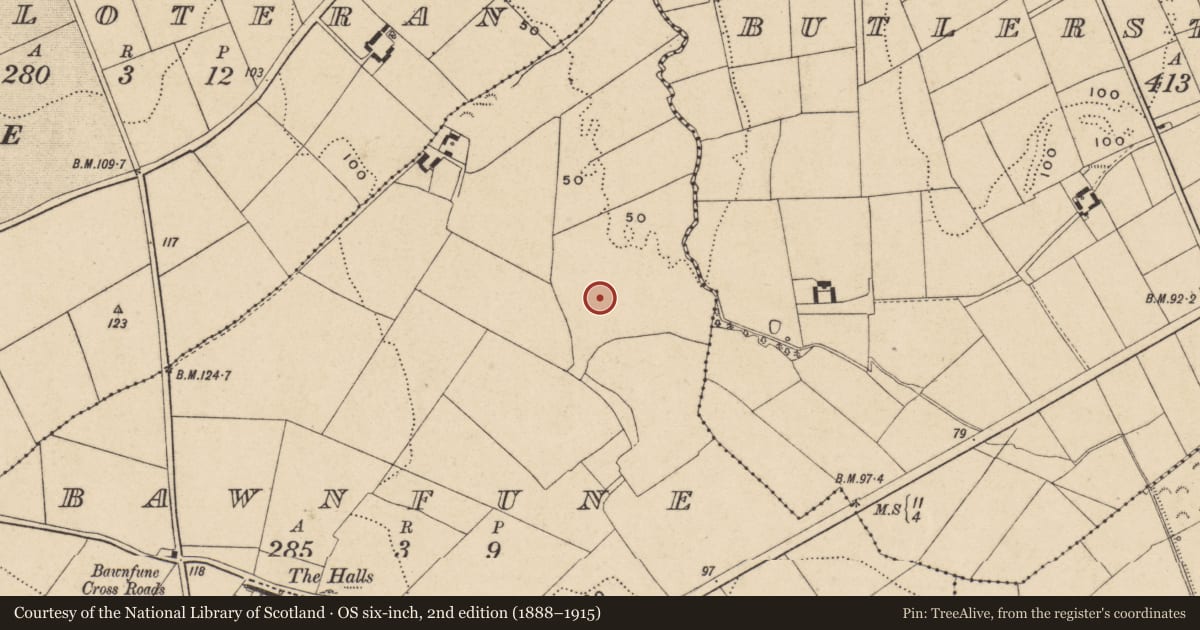 Ordnance Survey six-inch map, 2nd edition (1888–1915) covering the location of Burnt mound, Bawnfune (Gaultiere By., Lisnakill Par.), County Waterford, with a pin at the register's coordinates
