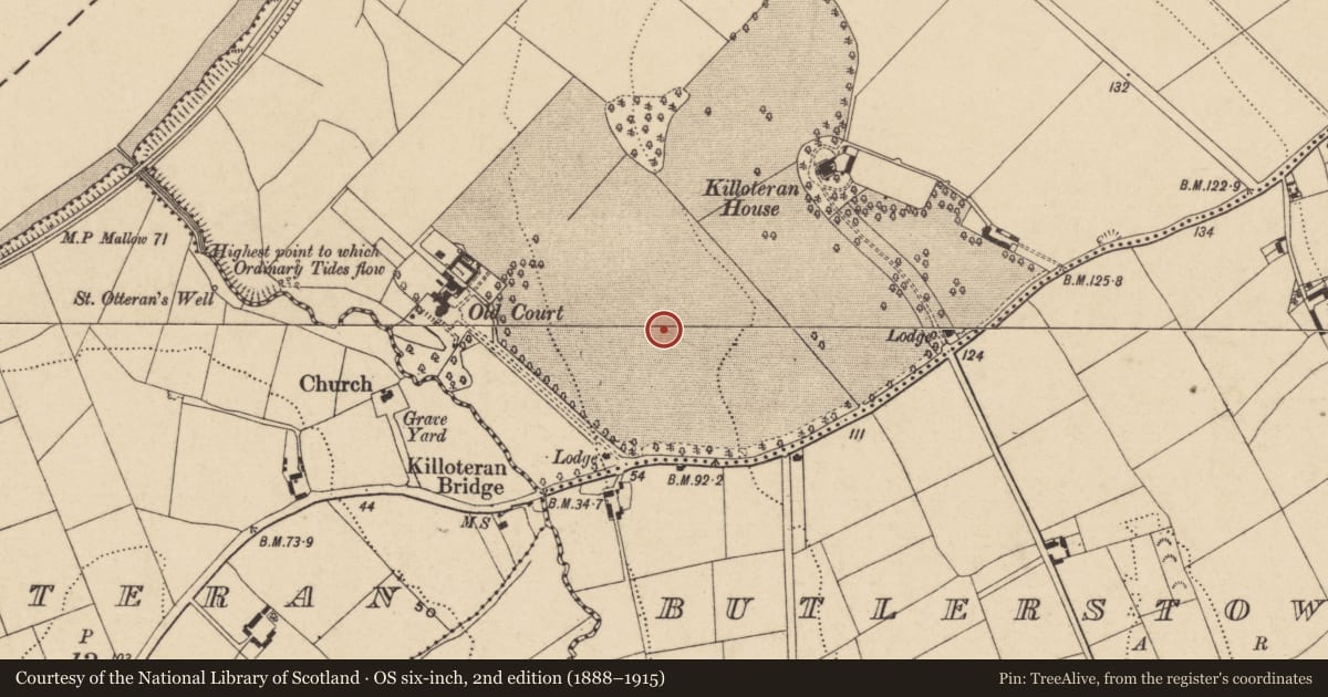 Ordnance Survey six-inch map, 2nd edition (1888–1915) covering the location of Pit-burial, Woodstown (Middlethird By., Killoteran Par.), County Waterford, with a pin at the register's coordinates