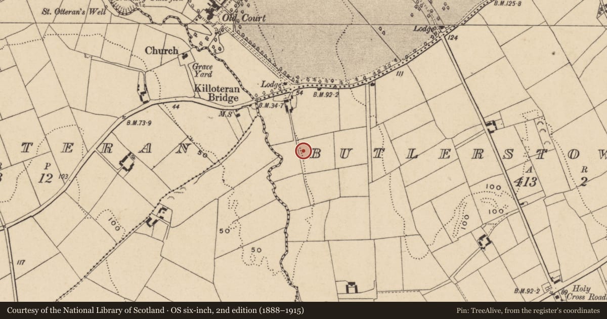 Ordnance Survey six-inch map, 2nd edition (1888–1915) covering the location of Excavation - miscellaneous, Butlerstown North, County Waterford, with a pin at the register's coordinates