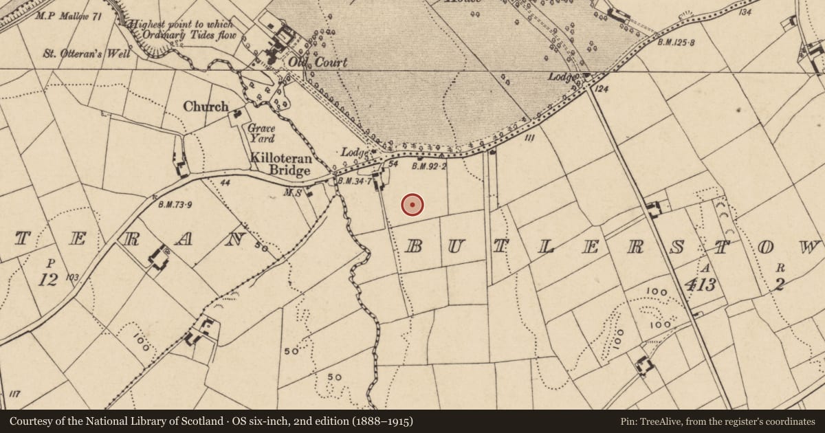 Ordnance Survey six-inch map, 2nd edition (1888–1915) covering the location of Excavation - miscellaneous, Butlerstown North, County Waterford, with a pin at the register's coordinates