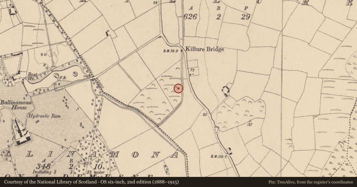 Ordnance Survey six-inch map, 2nd edition (1888–1915) covering the location of Fulacht fia, Killure, County Waterford, with a pin at the register's coordinates
