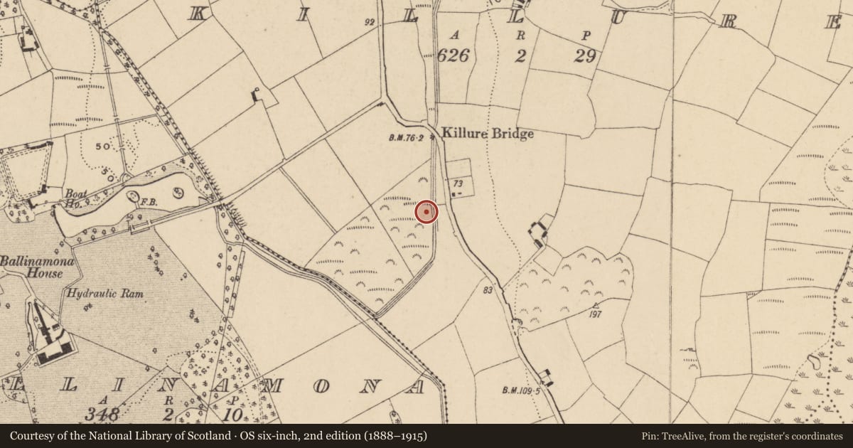 Ordnance Survey six-inch map, 2nd edition (1888–1915) covering the location of Fulacht fia, Killure, County Waterford, with a pin at the register's coordinates