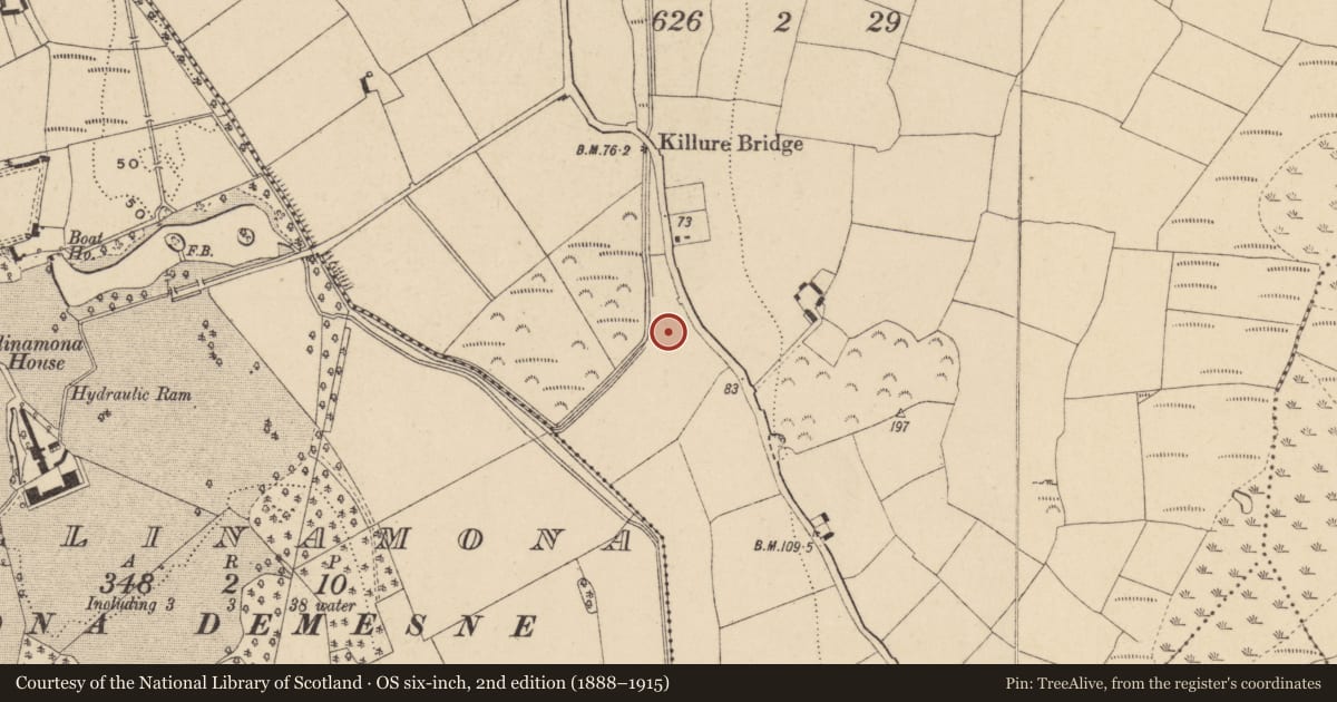 Ordnance Survey six-inch map, 2nd edition (1888–1915) covering the location of Fulacht fia, Killure, County Waterford, with a pin at the register's coordinates