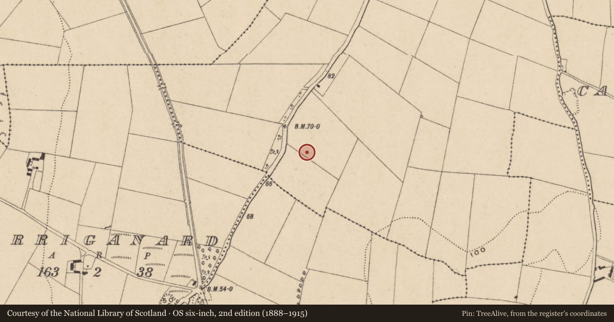 Ordnance Survey six-inch map, 2nd edition (1888–1915) covering the location of Excavation - miscellaneous, Kilbarry, County Waterford, with a pin at the register's coordinates