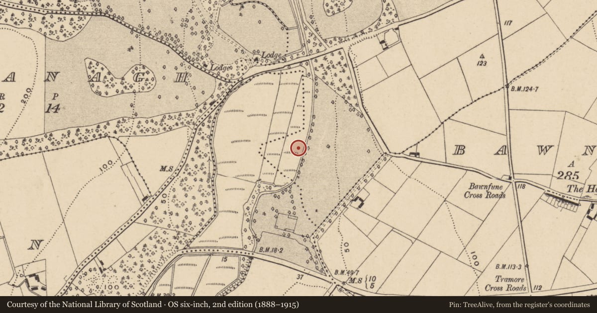 Ordnance Survey six-inch map, 2nd edition (1888–1915) covering the location of Fulacht fia, Killoteran, County Waterford, with a pin at the register's coordinates