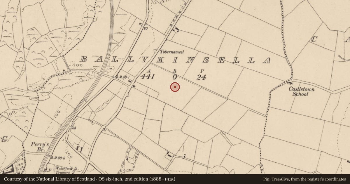 Ordnance Survey six-inch map, 2nd edition (1888–1915) covering the location of Enclosure, Ballykinsella, County Waterford, with a pin at the register's coordinates