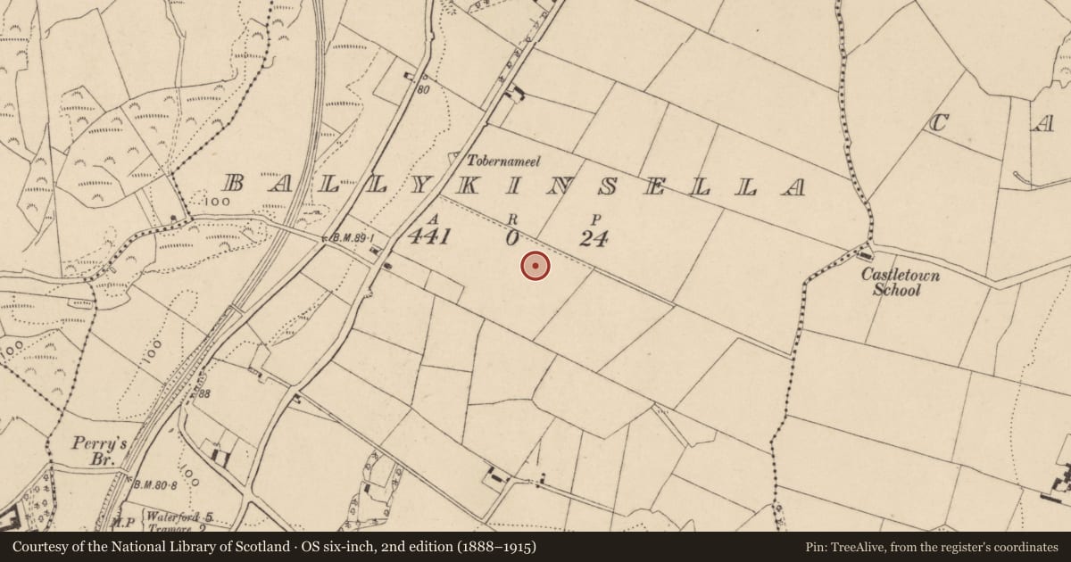 Ordnance Survey six-inch map, 2nd edition (1888–1915) covering the location of Field boundary, Ballykinsella, County Waterford, with a pin at the register's coordinates