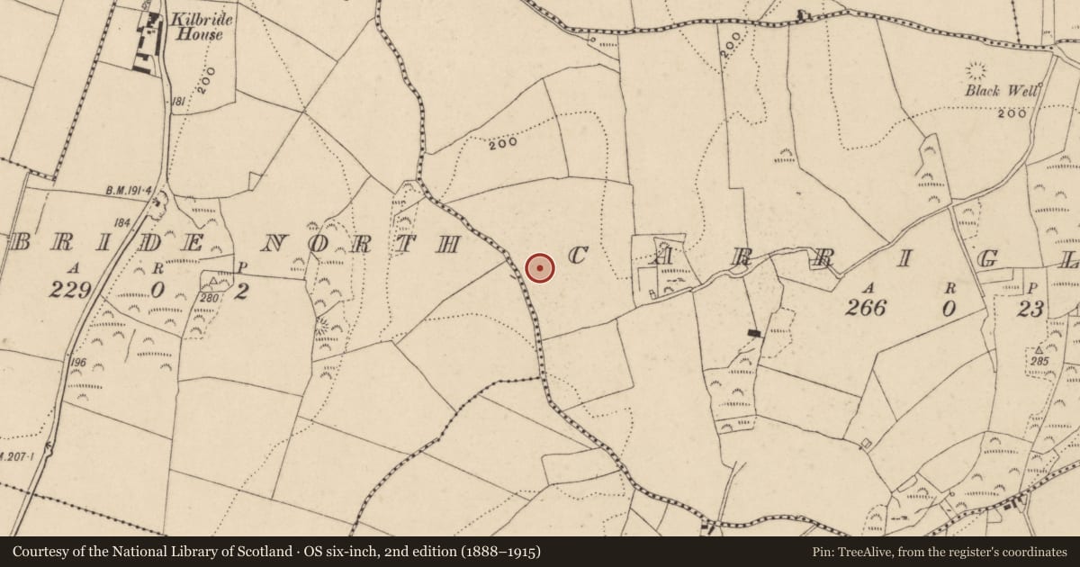 Ordnance Survey six-inch map, 2nd edition (1888–1915) covering the location of Ring-ditch, Carriglong, County Waterford, with a pin at the register's coordinates