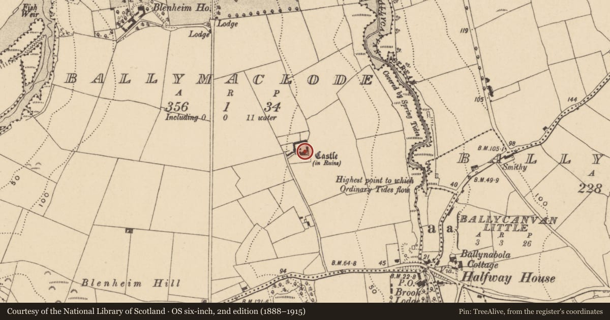 Ordnance Survey six-inch map, 2nd edition (1888–1915) covering the location of Castle - tower house, Ballymaclode, County Waterford, with a pin at the register's coordinates