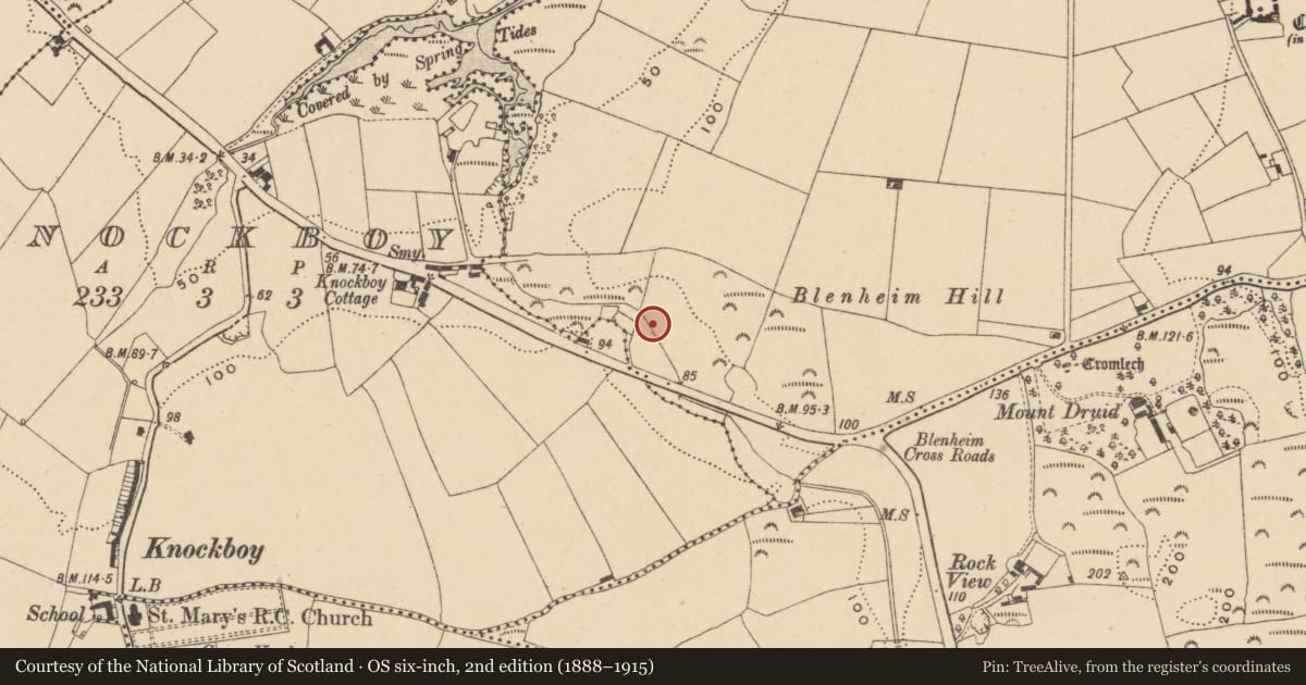 Ordnance Survey six-inch map, 2nd edition (1888–1915) covering the location of Fulacht fia, Ballymaclode, County Waterford, with a pin at the register's coordinates