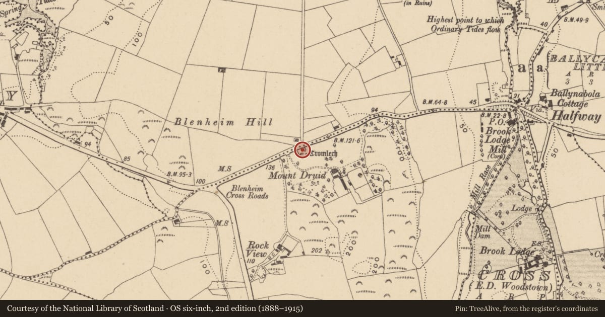 Ordnance Survey six-inch map, 2nd edition (1888–1915) covering the location of Megalithic structure, Ballygunnertemple, County Waterford, with a pin at the register's coordinates