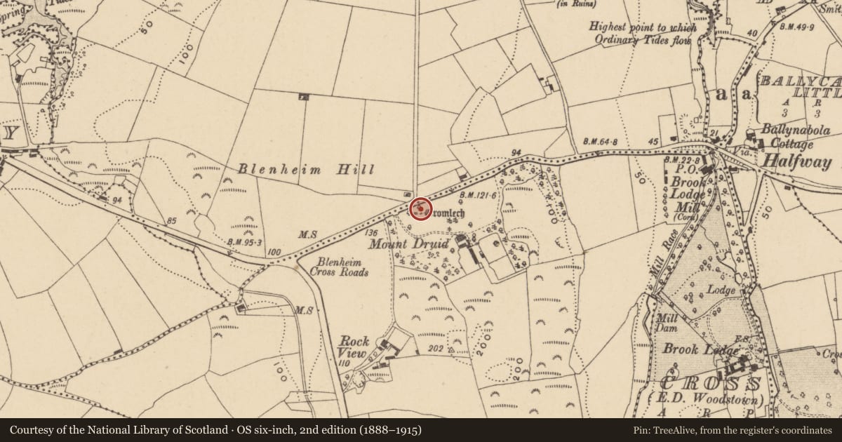 Ordnance Survey six-inch map, 2nd edition (1888–1915) covering the location of Mound, Ballygunnertemple, County Waterford, with a pin at the register's coordinates