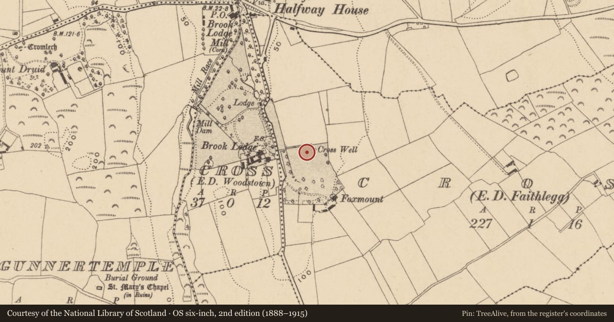Ordnance Survey six-inch map, 2nd edition (1888–1915) covering the location of Moated site, Cross (Gaultiere By., Kill St. Nicholas Par.), County Waterford, with a pin at the register's coordinates
