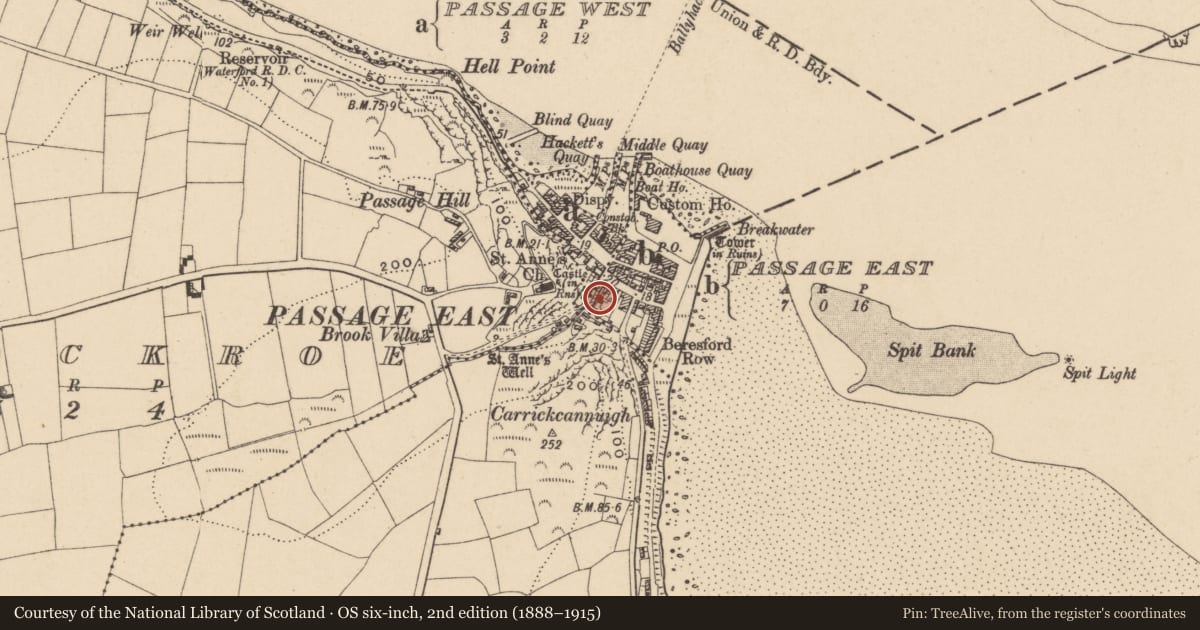 Ordnance Survey six-inch map, 2nd edition (1888–1915) covering the location of Excavation - miscellaneous, Passage East, County Waterford, with a pin at the register's coordinates