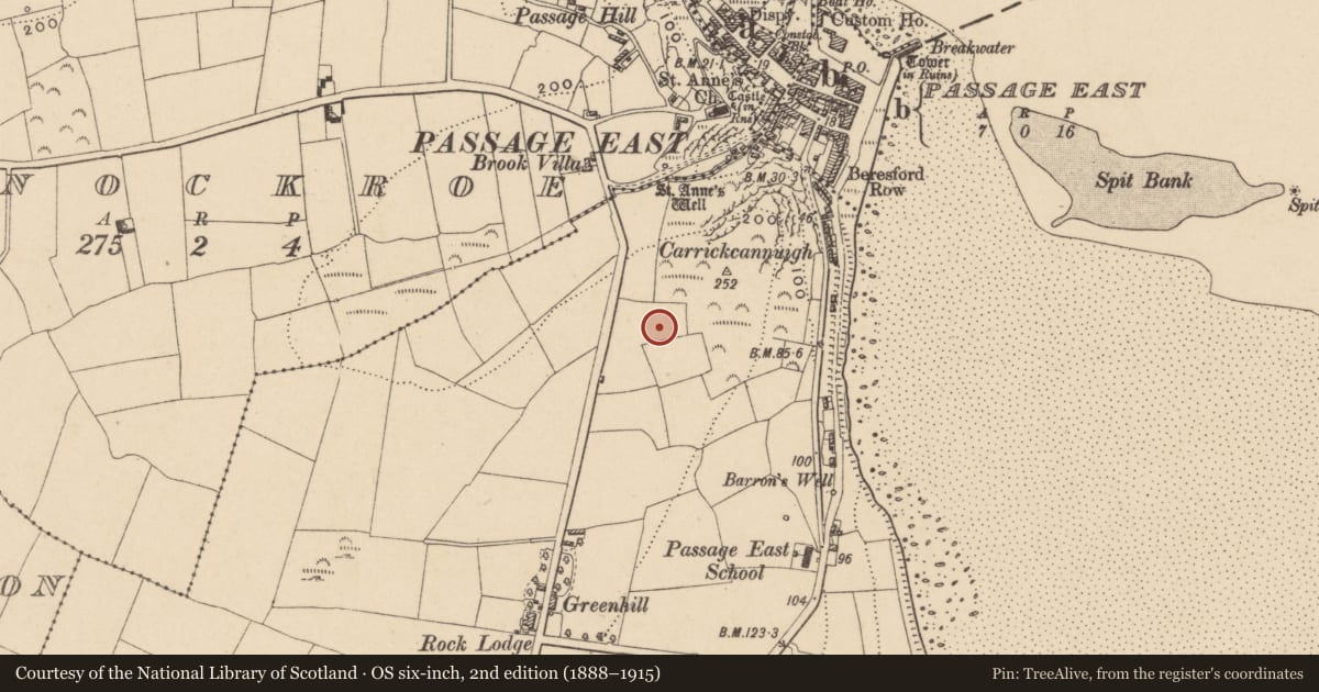 Ordnance Survey six-inch map, 2nd edition (1888–1915) covering the location of Windmill, Crooke, County Waterford, with a pin at the register's coordinates